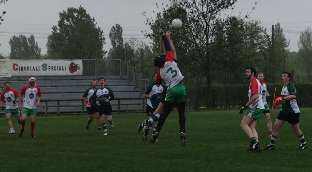DSC02049_1